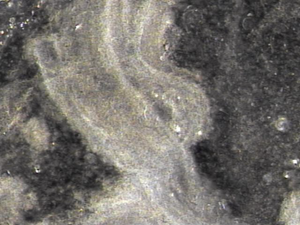 1b41170c37a657a05434f6dffe42b217_1745380597_2987.png