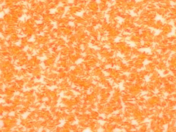 96878f050e0720a5b94c815256b23707_1745398370_1186.png