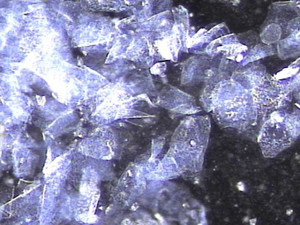 cea4a904282f6b6741c3d73890c54ec1_1746236223_8574.png