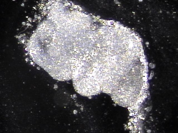 f23825ffd30308d9758b71cb3eea9bc2_1746070779_321.png