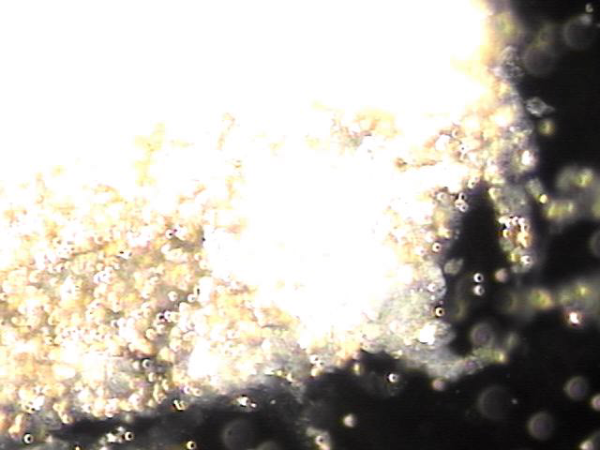 f762ad3544700514af0ddcd3e5d0eb44_1746524339_1466.png